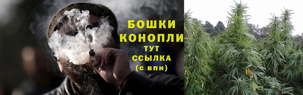 дживик Богородск