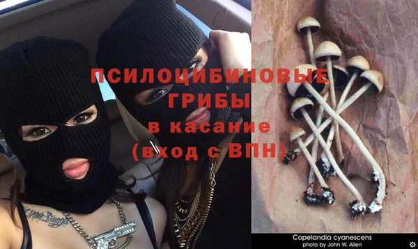 бутират Богородицк