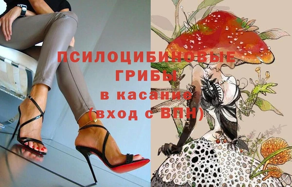 бутират Богородицк