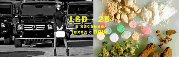 дживик Богородск